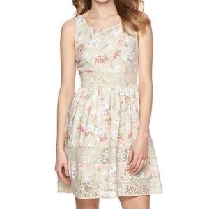 NWT LC Lauren Conrad | Tan Floral Lace Dress | 4